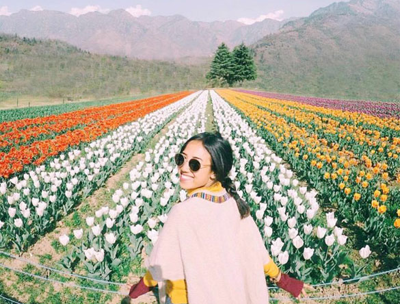 Tulip Garden Srinagar Kashmir Tour